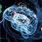 The Psychology of Poker